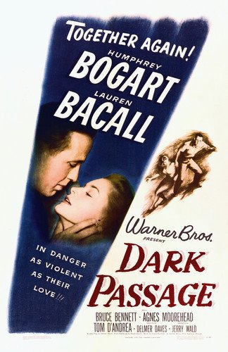 Cover Dark Passage (1947)